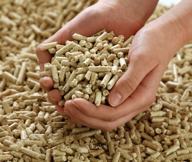biomass-pellet-1729583019-7650637